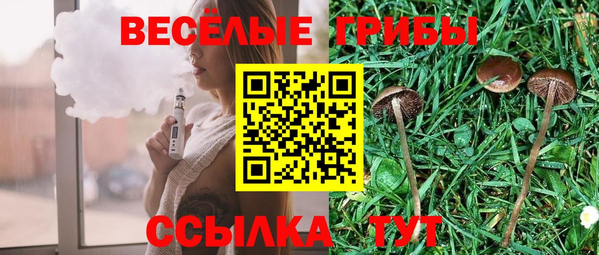Балахна  Псилоцибиновые грибы Magic Shrooms  Вход с VPN 