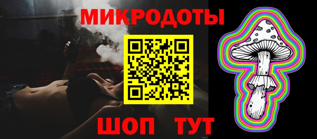 Псилоцибиновые грибы Cubensis  Балахна 