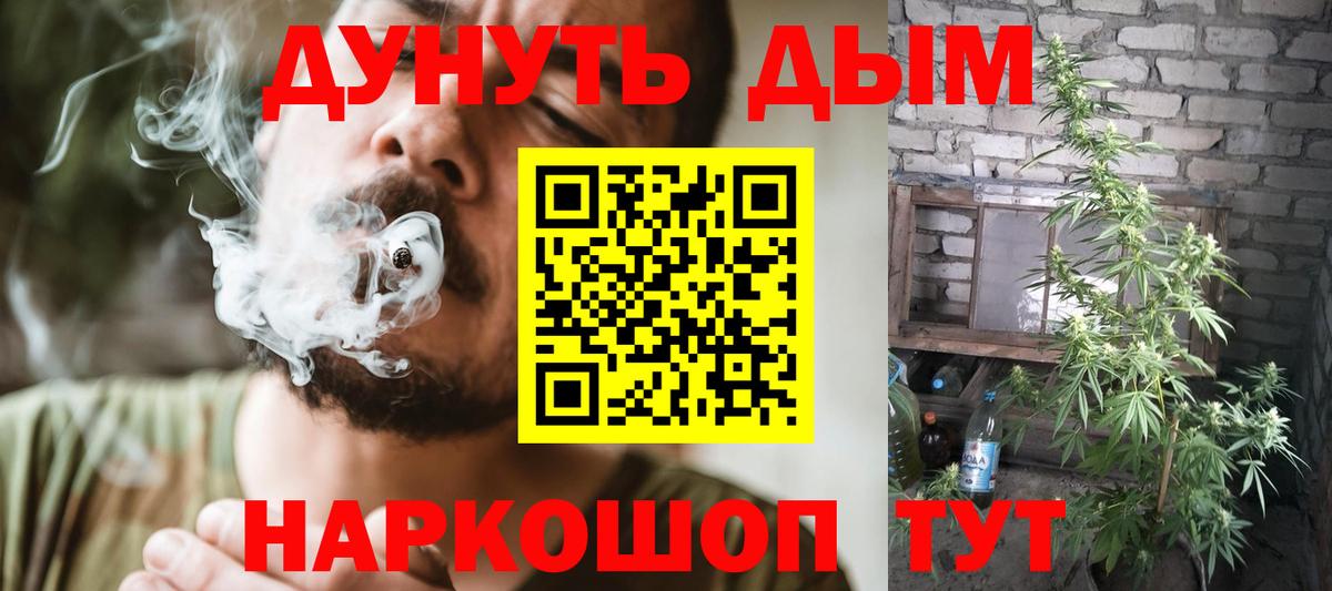 Балахна  Каннабис семена  Каннабис VHQ  Вход с VPN 